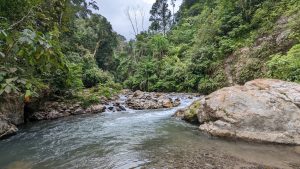 jungle tour sumatra